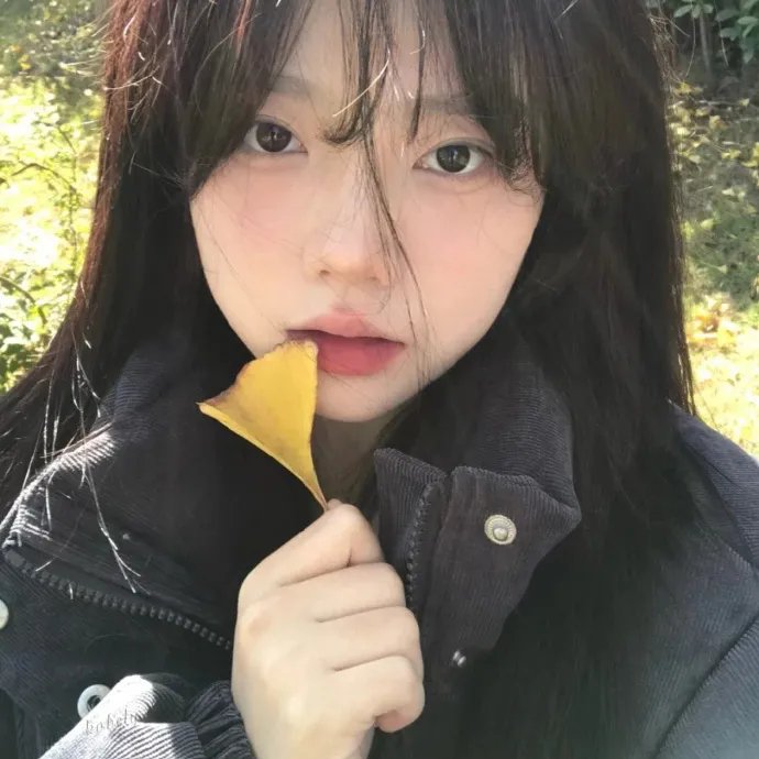 泼妇碧安卡